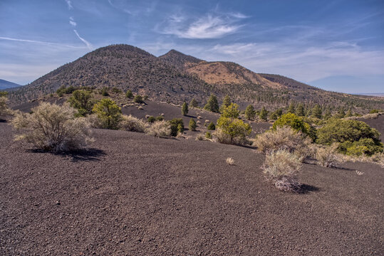 O'Leary Peak, Coconino National Forest, Arizona, USA