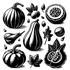A collection of various pumpkins, gourds, and squash with leaves in black and white illustration