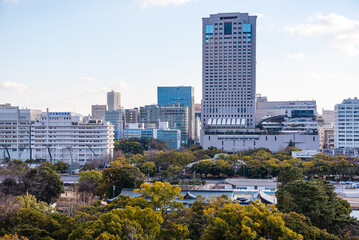 Obraz premium Urban Skyline of Hiroshima City with Office Buildings and Tree-Lined Rivers, Japan