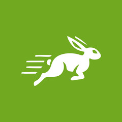 easter bunny with easter eggs