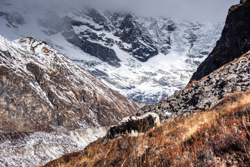 Lone yak framed against glaciated cliffs and snowy slopes near Kyanjin Gompa, Langtang region, Nepal
