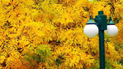Country Lamp Post - Australia