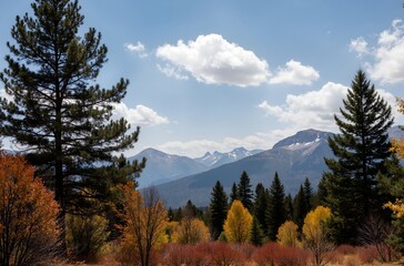 autumn forest in the mountains