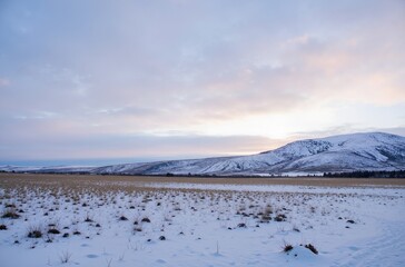 winter landscape with snow