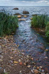 Stream Flowing into the Baltic Sea - Gulf of Finland Shoreline