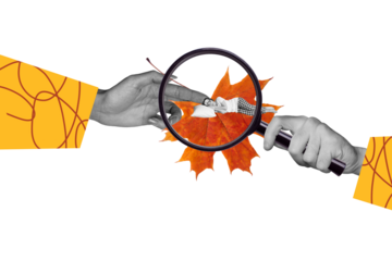 Composite trend artwork sketch photo collage of two huge hand hold zoom glass miniature lady sleep lying maple leave nature autumn season