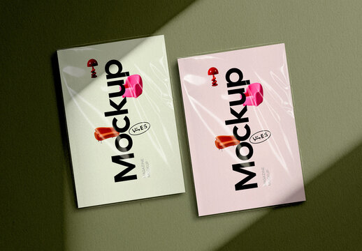 2 Catalogs Mockup Scene
