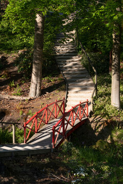 Colourful wooden footbridge over a stream in the exotic Himalayan Gardens and Sculpture Park, Yorkshire, United Kingdom