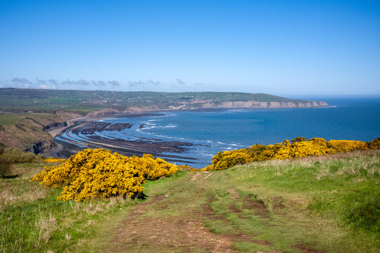 Ravenscar's rocky beach on the Yorkshire coast.