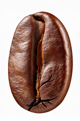 Roasted coffee bean close-up with glossy surface, used to teach food science and cultural significance of coffee in daily life.
