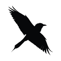 crow silhouette, black and white, minimalist design, high contrast, intricate feather details, graceful flying pose, moody atmospheric lighting, digital art
