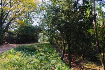 深山公園、自然豊かな日本の山の風景、岡山、日本