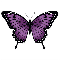 A Striking Purple Butterfly Illustration with Detailed Wing Patterns and Elegant Design on a White Background for Creative Projects