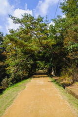 深山公園、自然豊かな日本の山の風景、岡山、日本