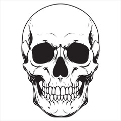 Monochrome Skull Illustration Detailed Anatomical Drawing with Bold Outlines Striking Contrast Ideal for Graphic Design and Tattoo Art
