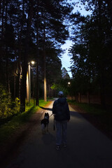 Caucasian woman with border collie dog at night on a walk in the park. Light from street lamps. View from the back.