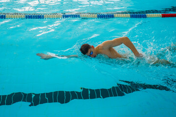 Swimmers training in the pool. Crawl style. Sports, determination and endurance. Swimming...