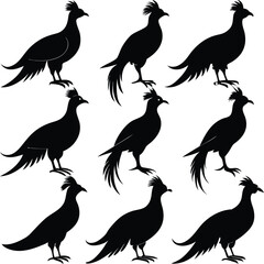 Fototapeta premium Silhouette Pheasant Birds Collection, Black Vector Illustrations
