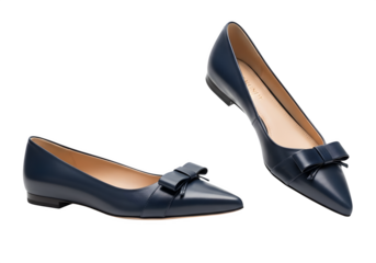 Elegant navy blue ballet flats isolated on transparent background, featuring a pointed toe and a delicate bow, perfect for sophisticated and comfortable wear