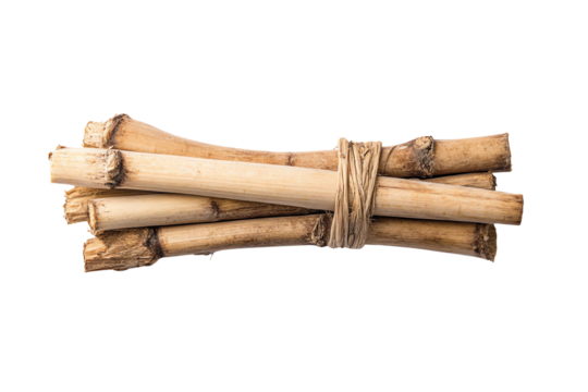 A bundle of bamboo sticks tied together, showcasing natural texture and colors against a white isolate background.