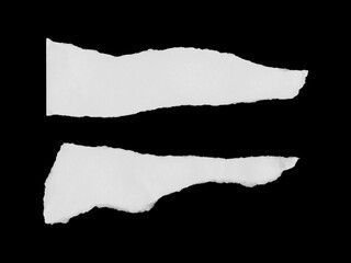 Torn Paper Strip on Black Background | Realistic Ripped Paper Texture