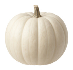 White pumpkin with pale skin and round shape