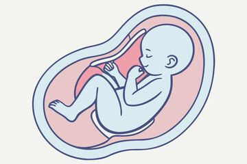 Adorable Baby Fetus in Womb Illustration.