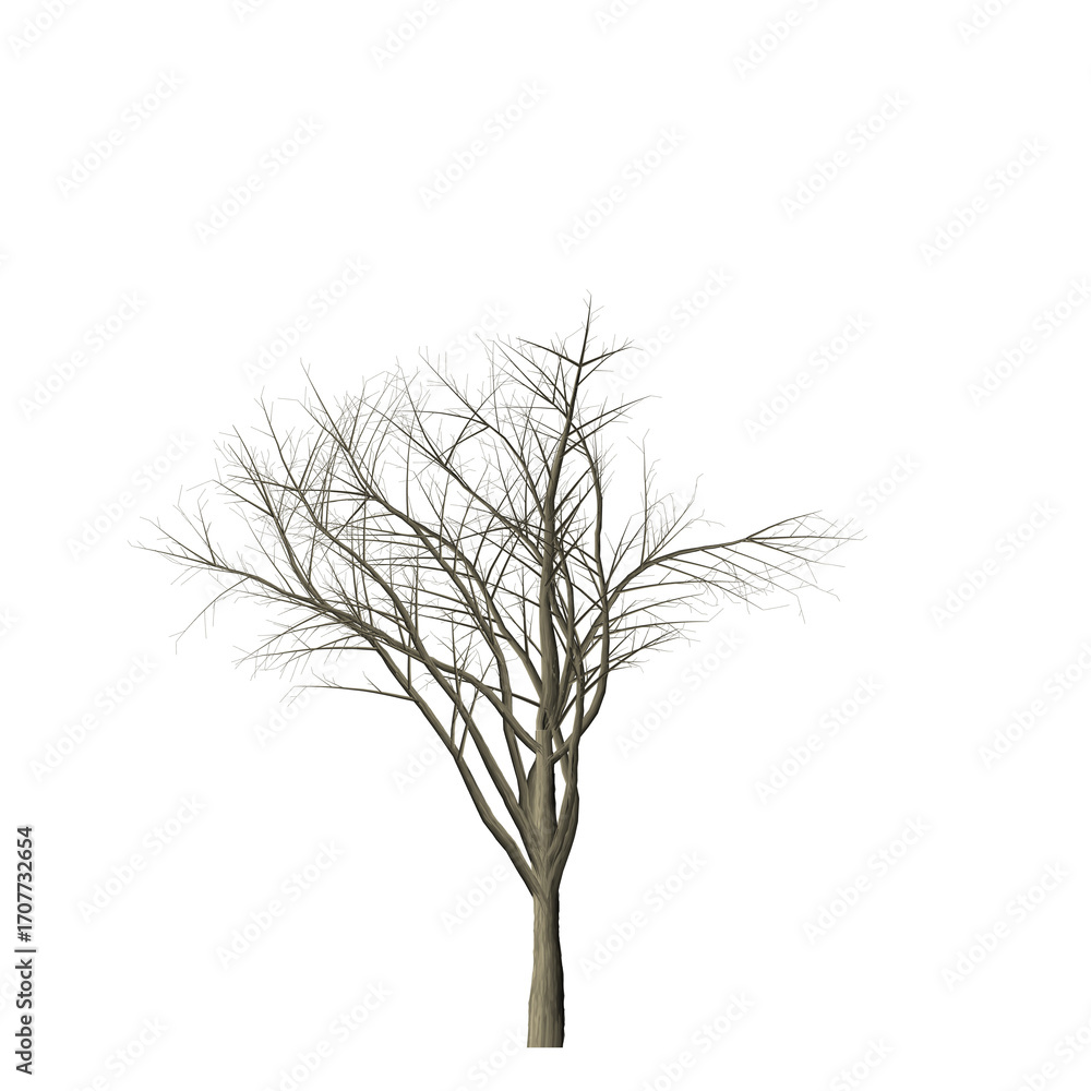 Poster a leafless tree with bare branches stands against a stark black background in a simple composition v