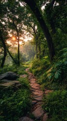 Obraz premium Winding Path Through Lush Green Forest at Sunrise