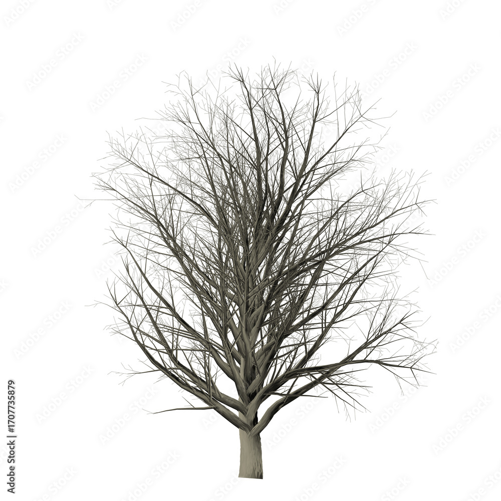 Poster a leafless tree with bare branches against a black background in a neutral tone rendering style