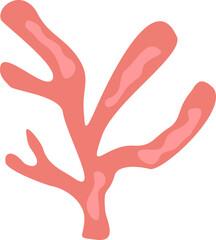 Cute Coral
