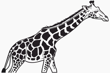 Stylized Black and White Giraffe Illustration 1.