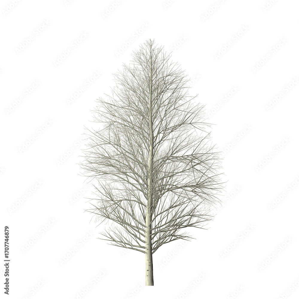 Poster a leafless tree with bare branches against a black background in a neutral tone rendering style