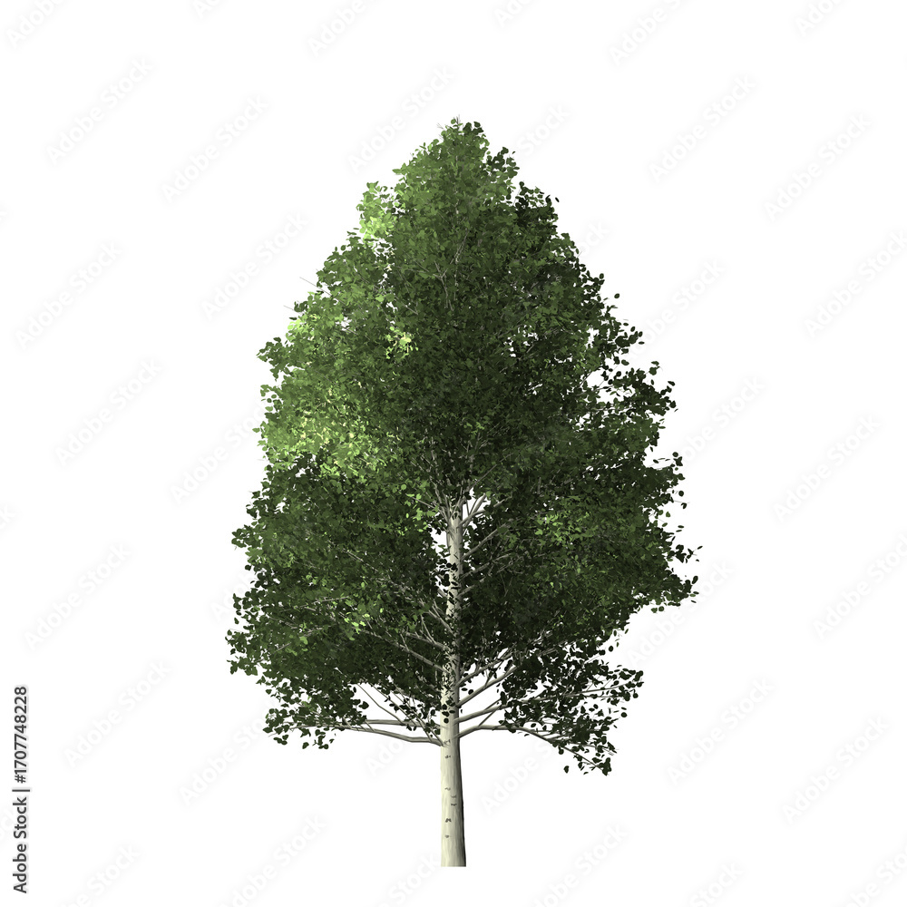 Poster a single tree with green leaves and a light colored trunk isolated on a black background in full vie