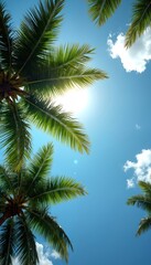 Looking up through green palm tree fronds towards bright blue sky, sunshine. Scattered white clouds drift by in tropical summer scene. Perfect for vacation, travel, nature-themed web design