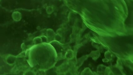 Microscopic view of green cells and microbes. Abstract scientific background of bacteria or virus in fluid animation. - Powered by Adobe