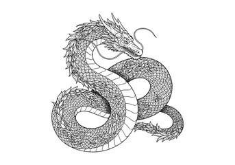 Fototapeta premium Intricate dragon illustration coiled gracefully, perfect for coloring books, tattoo designs, and mythical themes; bold lines and detailed scales stand out