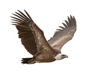 Obraz premium Eagle soaring over mountain landscape wildlife PNG, cut out, isolated on transparent background
