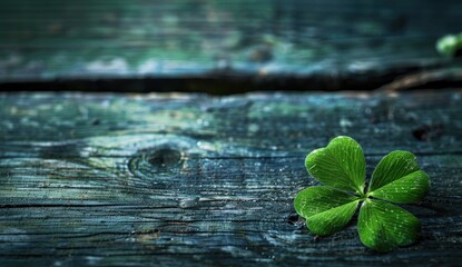 A vibrant green four-leaf clover rests on a dark, weathered wooden surface, creating a striking contrast against the aged wood grain