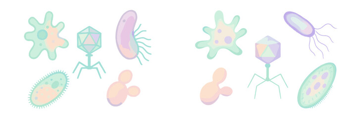 Diverse microscopic organisms set including bacteria, viruses, protozoa, and fungi for scientific concepts
