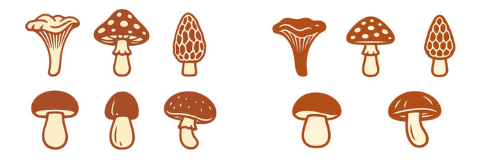 Diverse set of stylized wild mushrooms featuring chanterelle, morel, porcini, and fly agaric designs