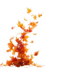 Fototapeta premium A vibrant cascade of autumn maple leaves falling in a swirling motion isolated on transparent background