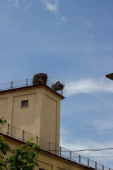 the roof of a building with stork nests