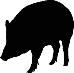 Walking Hedgehog Silhouette Minimal Vector Illustration, Walking Hedgehog Line Art Vector, Minimal Hedgehog Illustration, Hedgehog Outline Vector