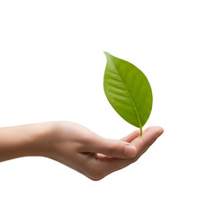Hand Holds Green Leaf Gently Against Black Backdrop Symbolizing Environmental Care