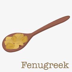 Illustration of fenugreek seeds in a wooden spoon. For projects related to cooking and natural spices.