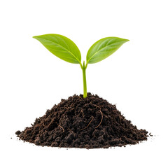Seedling Grows From Soil Heap Isolated on Transparent Background, Representing New Life