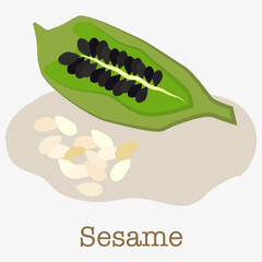 Sesame seeds are a useful ingredient for healthy eating. They are used in healthy diets and cooking.