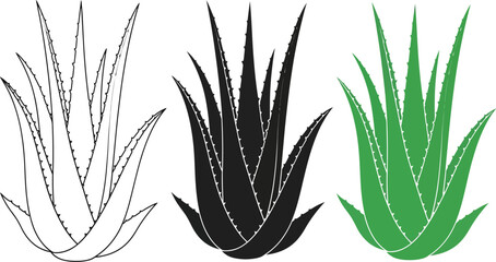 Three stylized illustrations of aloe vera plants: outline, silhouette, and green.