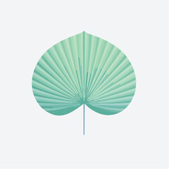 Single Tropical Green Palm Leaf on White Background